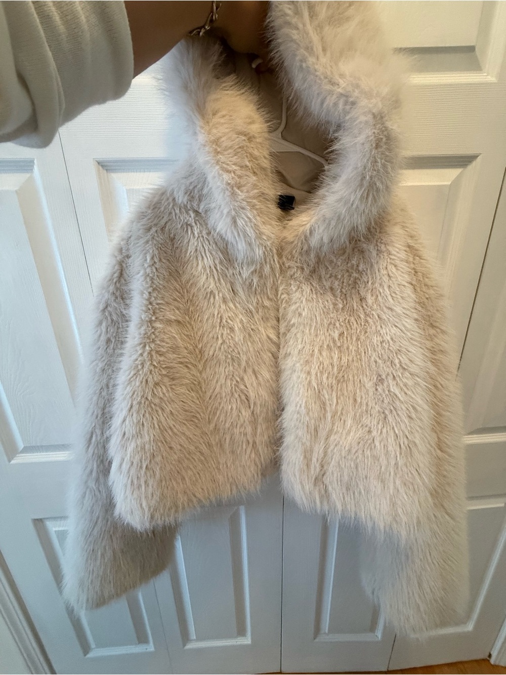 wild fable Plush Faux Fur Hooded Jacket in Cream